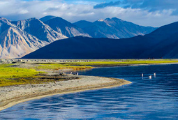 Pangong Sightseeing Pangong Sightseeing